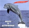 Звуки природы. Море и дельфины