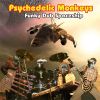 Psychedelic Monkeys: Fanky dub spaceship (2007)