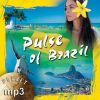 Planet mp3: Pulse of Brazil