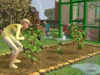 The Sims 2: Времена года