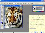 Adobe Photoshop CS: самоучитель вер. 2.0