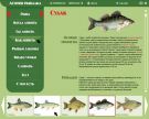 Интерактивная энциклопедия Pro. Рыбалку dvd