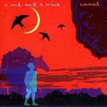 Camel: A Nod And A Wink