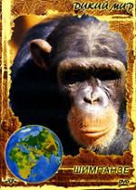 Дикий мир: Шимпанзе