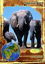 Дикий мир: Слоны
