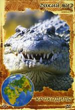 Дикий мир: Крокодилы