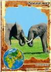Дикий мир: Слоны. Часть 2