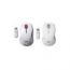 Мышь HP Wireless Comfort Mouse Special Edition Pearl, оптическая/беспроводная, WinXP/Vista USB Port, перламутровая (FQ557AA)