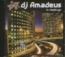 DJ Amadeus: In Feelings