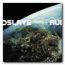 Audioslave: Revelations